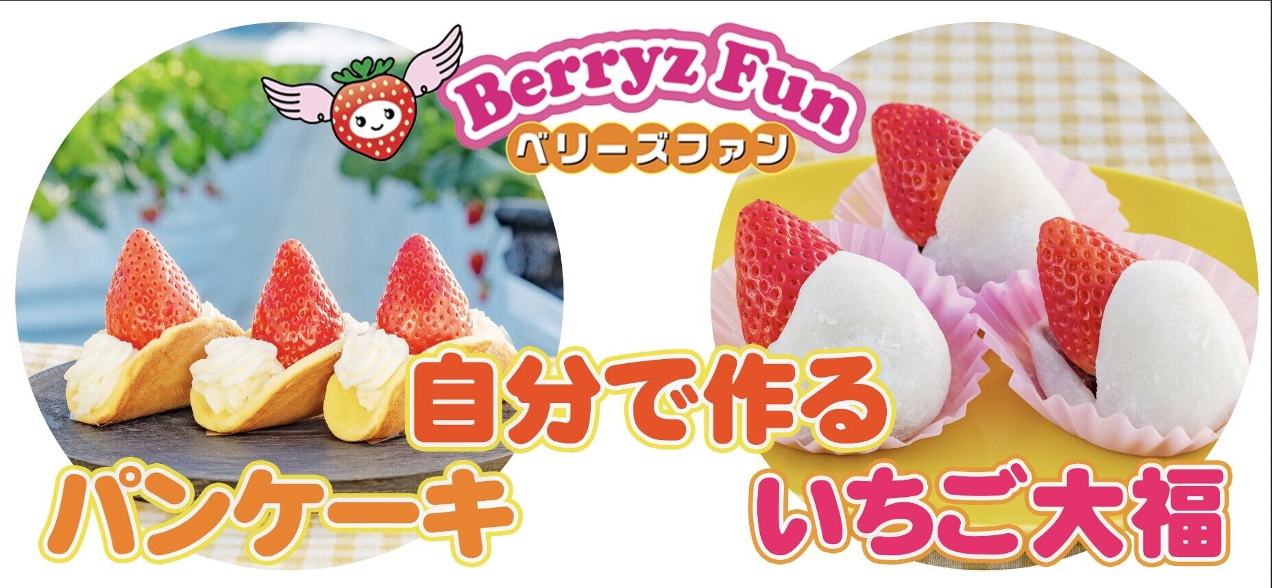 berryzfun_02